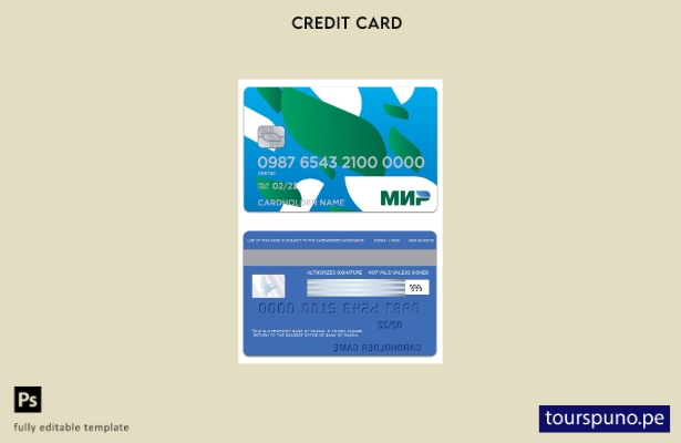 listo para imprimir plantilla de tarjeta Mir del Banco de Rusia de Rusia